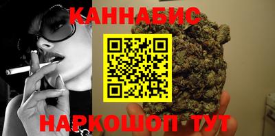 мдпв Славгород