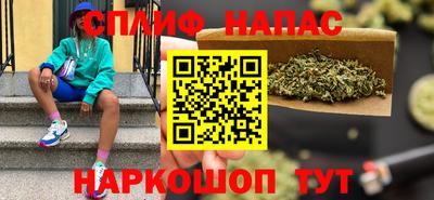 мдпв Славгород