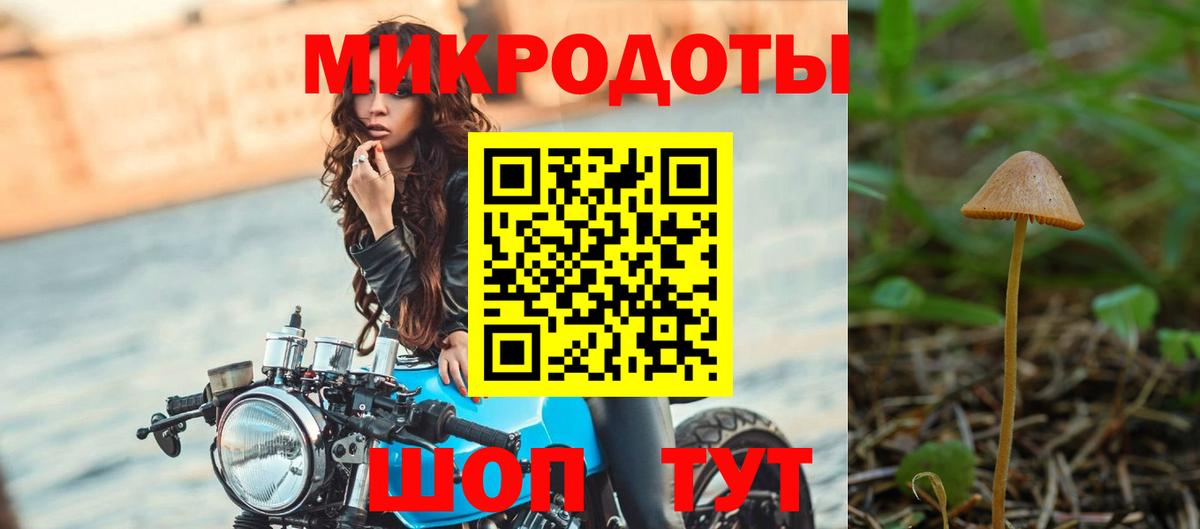 Галлюциногенные грибы Psilocybine cubensis  Галлюциногенные грибы мицелий  Вход с VPN  Протвино 